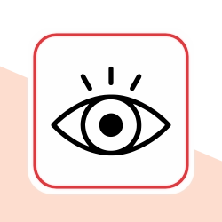 Vision Support